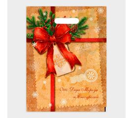 Пакет "Послание от деда мороза и снегурочки", полиэтиленовый с вырубной ручкой, 30 х 40 см, 10638424