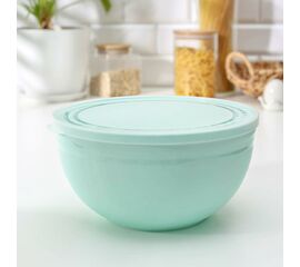 Миска 1,0л Line с крышкой C595 МИКС цветов