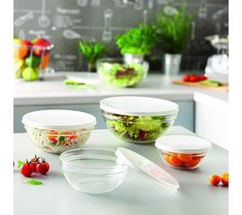 Салатник 23см с крышкой ЭМПИЛАБЛЬ H1154