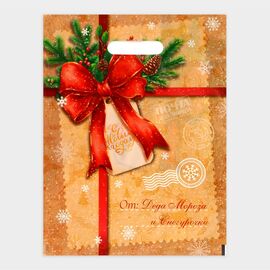 Пакет "Послание от деда мороза и снегурочки", полиэтиленовый с вырубной ручкой, 30 х 40 см, 10638424