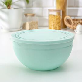 Миска 1,0л Line с крышкой C595 МИКС цветов