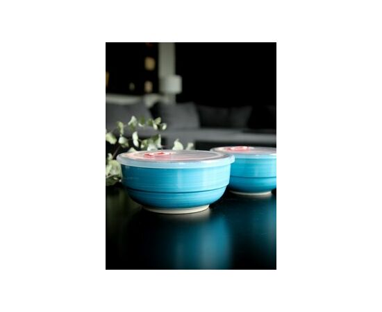 Салатник с/крышкой 14см (800мл) 139-23106 АЭРОГРАФ ЯРКОЕ МОРЕ, изображение 3 Салатник с/крышкой 14см (800мл) 139-23106 АЭРОГРАФ ЯРКОЕ МОРЕ, изображение 3