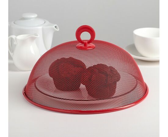 Крышка-сетка для продуктов Доляна «Вкус», d=24 см, цвет МИКС 148362