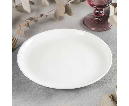 Тарелка обеденная WL-991014/A (круглая 23см), изображение 3