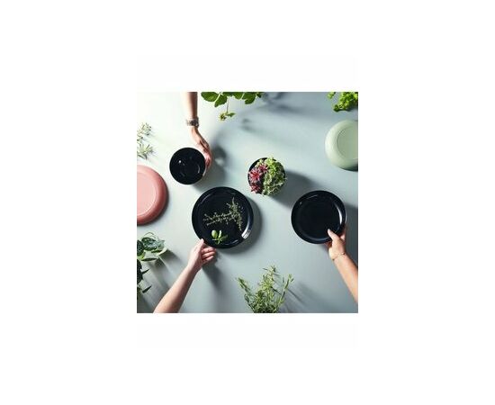 Блюдо 25см VICKY SOFT GREEN  Q8583, изображение 6 Блюдо 25см VICKY SOFT GREEN  Q8583, изображение 6