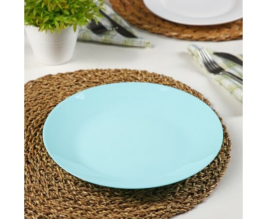 Тарелка обеденная 25см ЛИЛИ ТЮРКУАЗ Q6432 LUMINARC