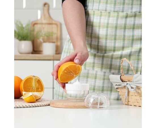 Соковыжималка для цитрусовых с лотком и крышкой Доляна, d=7,5 см, 7×7×8 см, цвет МИКС 651846, изображение 6
