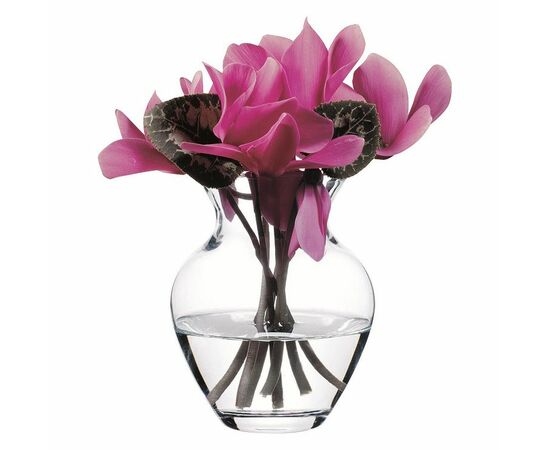 Ваза 14,4см БОТАНИКА 43206B в подарочной коробке, изображение 3