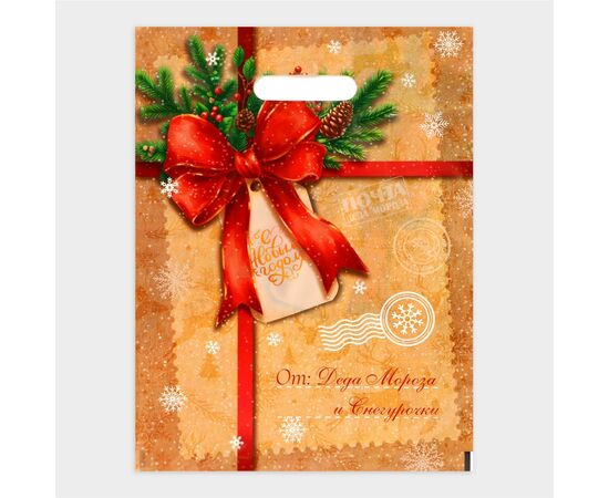 Пакет "Послание от деда мороза и снегурочки", полиэтиленовый с вырубной ручкой, 30 х 40 см, 10638424