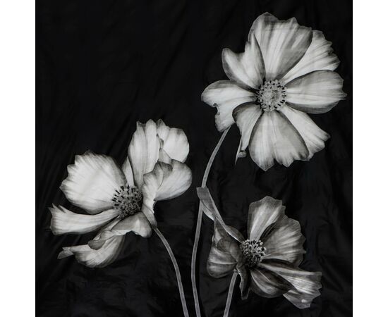 Штора для ванной 180х180см "Герберы", EVA 827470, изображение 5