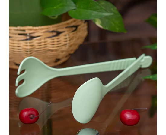 Набор для салата (вилка + ложка) VAR-WTC-117