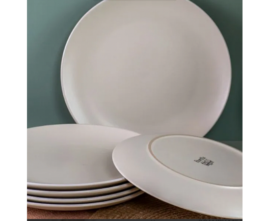 Тарелка обеденная 24см SCANDY MILK TDP535, изображение 5