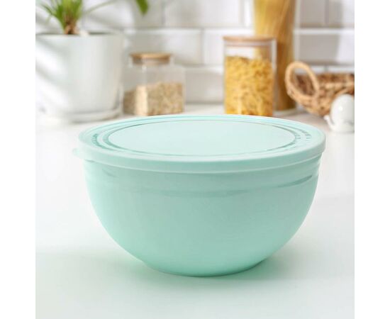 Миска 1,0л Line с крышкой C595 МИКС цветов