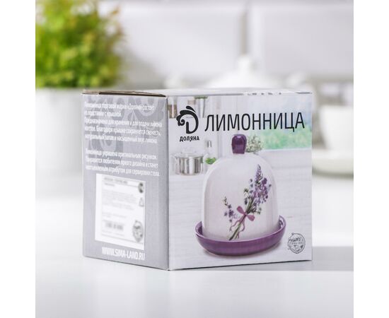 Лимонница Доляна «Лаванда», 9×9 см, цвет белый 4826204, изображение 3