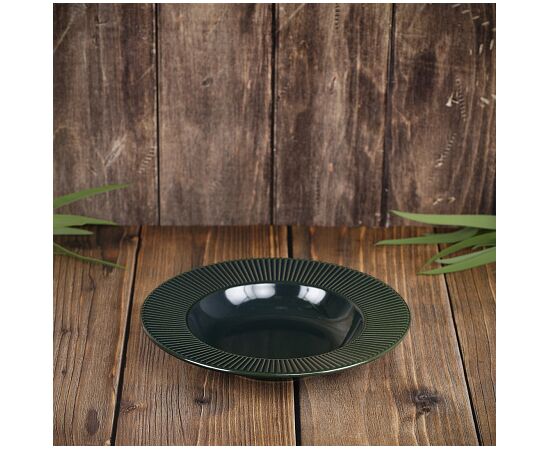 Тарелка суповая 24см EMERALD GREEN TDP471, изображение 2