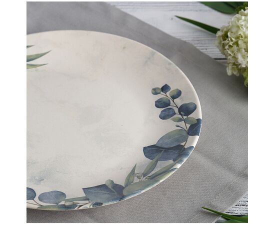 Тарелка обеденная 25см NATURE TDP560, изображение 5 Тарелка обеденная 25см NATURE TDP560, изображение 5