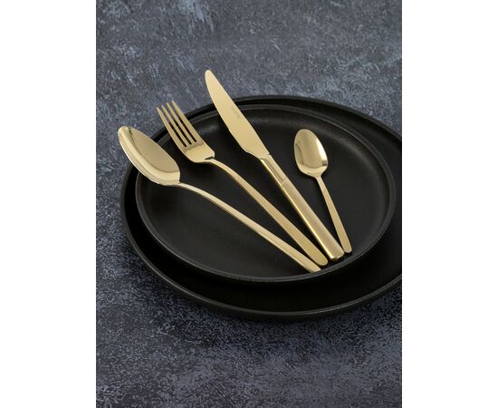 Набор столовых приборов MILANO 24 предмета DMC045, изображение 2